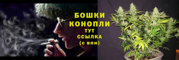 хмурый Верхний Тагил