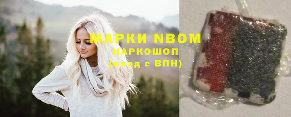 хмурый Верхний Тагил