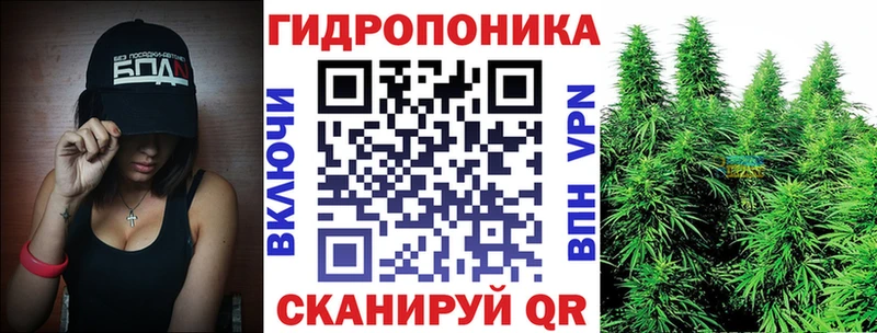 Купить закладки  Северо-Курильск  Каннабис OG Kush 